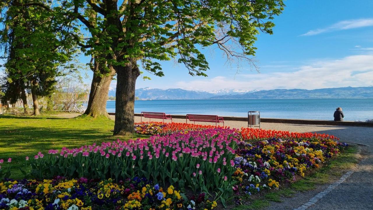 Mf Manuele Ficano - Ferienwohnungen Am Bodensee - Fewo Luna 크레스브론암보덴지 외부 사진